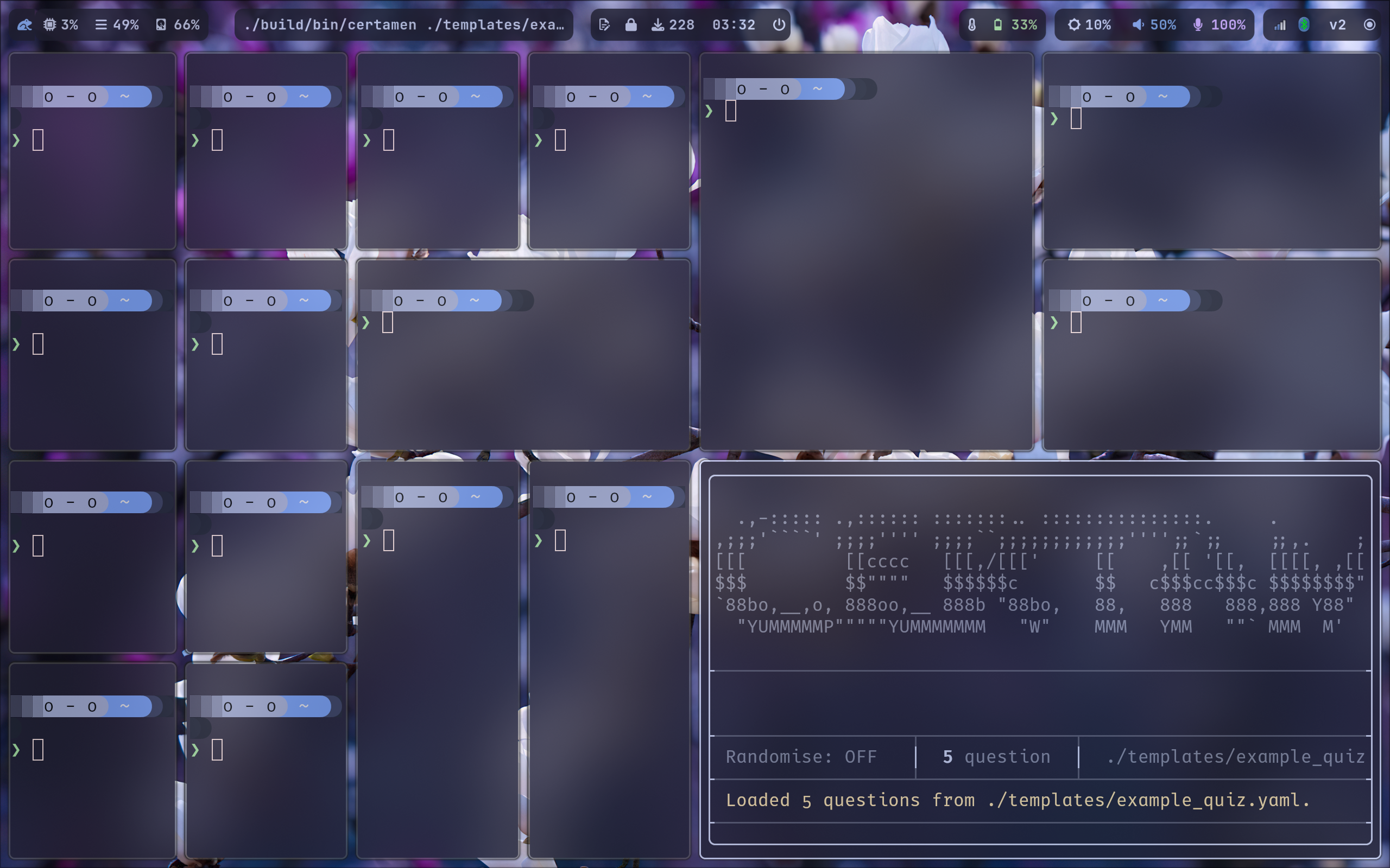 Multiple Windows